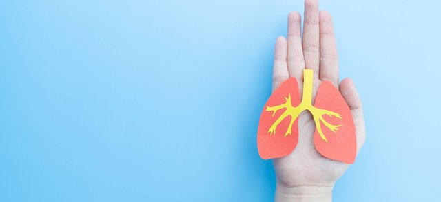 lung fibrosis.png lung fibrosis.png